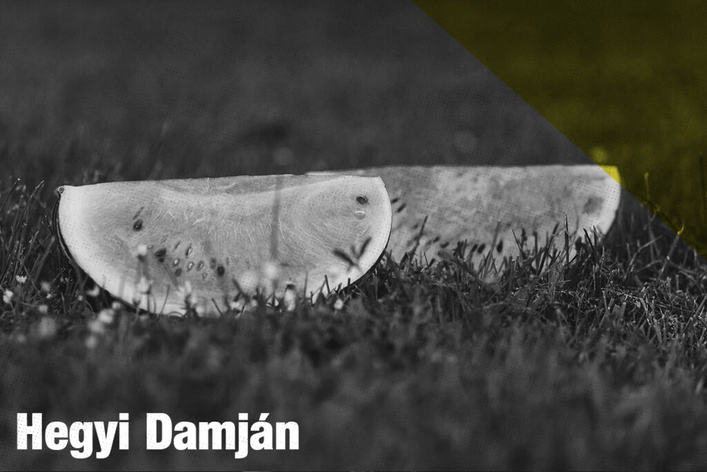 Duna és dinnyehéj / Egy helyzet – Hegyi Damján